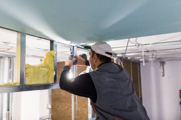 Best Specialty Insulation in Lake Mills, WI