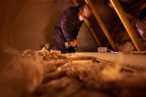 Best Insulation Installation Services in Lake Mills, WI